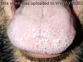 Experience the ultimate pleasure of oral sex with this video